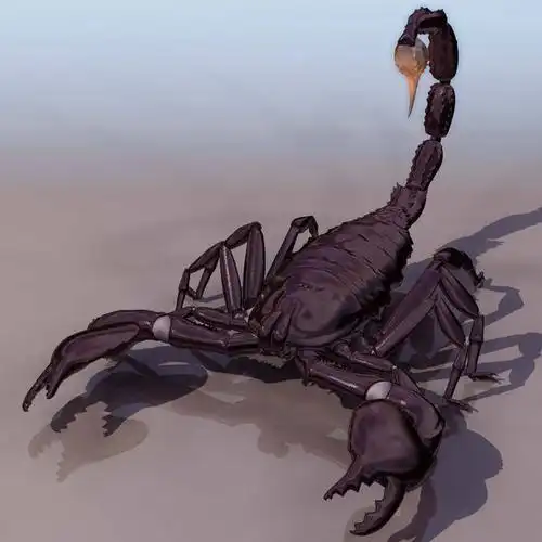 朗格多克蝎子的住所 的主要内容概括