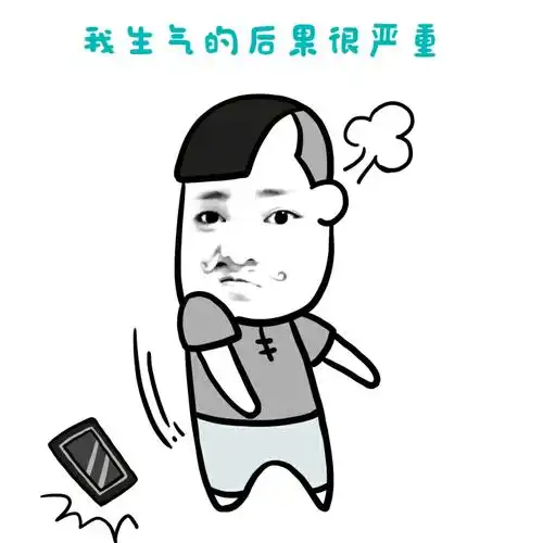 我生气的后果很严重