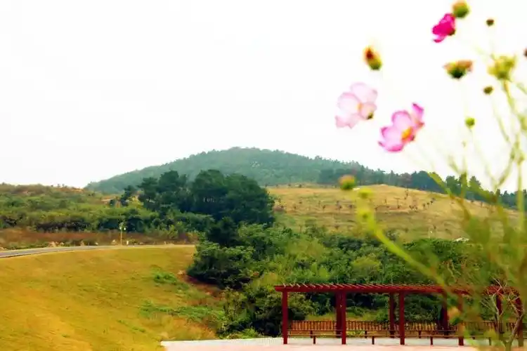 天王那田山水生态园活动地点容句稻福丰收节开幕式的活动让人意犹未尽