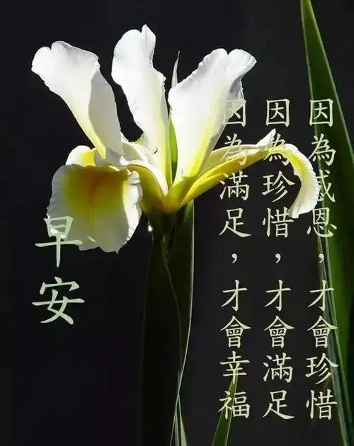 早安祝福表情图片大全带字 特别幸福的早安问候祝福语录大全