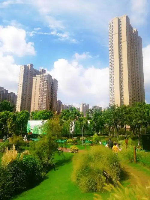 走在虹口福地——彩虹湾公园路上