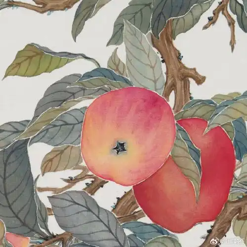 国画##国画花鸟##苹果