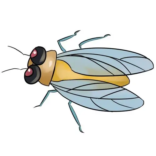 另一张卡纸画上苍蝇拍的图案,裁剪之后固定在另一根筷子上.