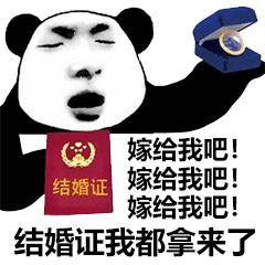 抖音这是钻戒嫁给我吧表情包