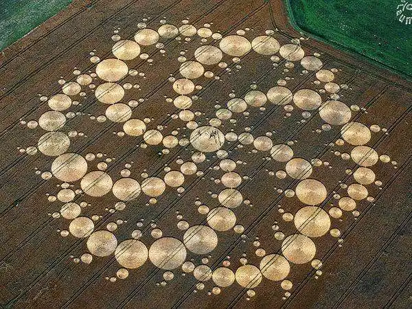 冤枉外星人多年的麦田怪圈终于真相大白了