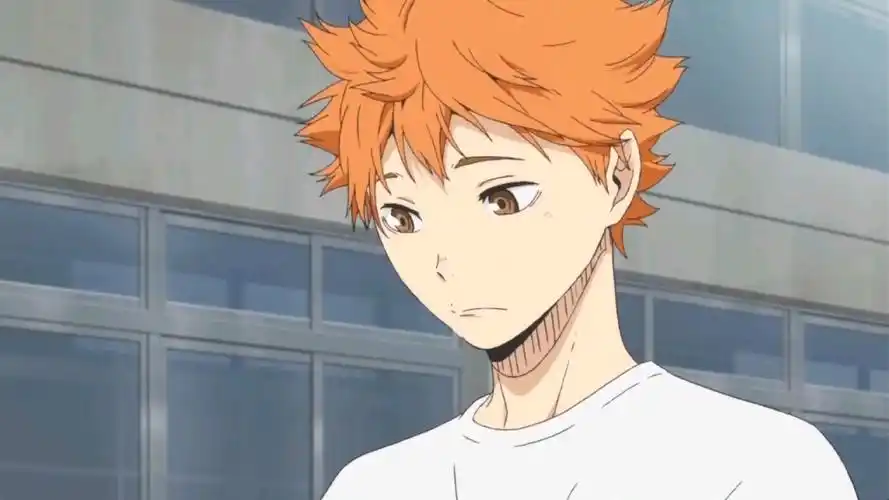 【排球少年/日向翔阳】小太阳终于不再是一个人了呐——"无论是关系