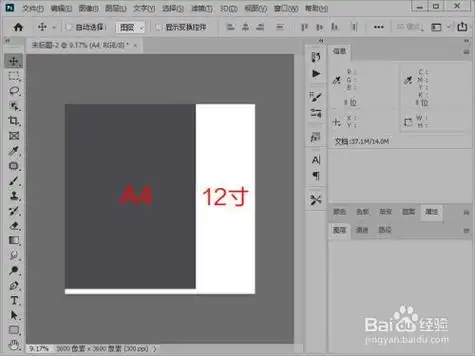 12寸和a4纸对比大小
