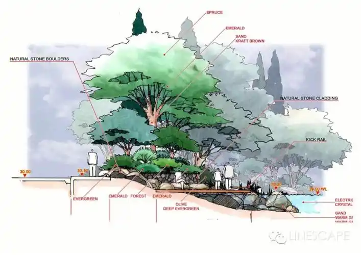 景观剖面图快快保存