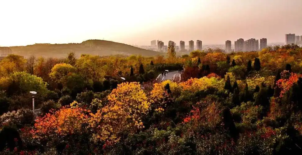 淮南田家庵区一日游精品线路(吃喝玩乐全包)晚上:先吃一份炸土豆片