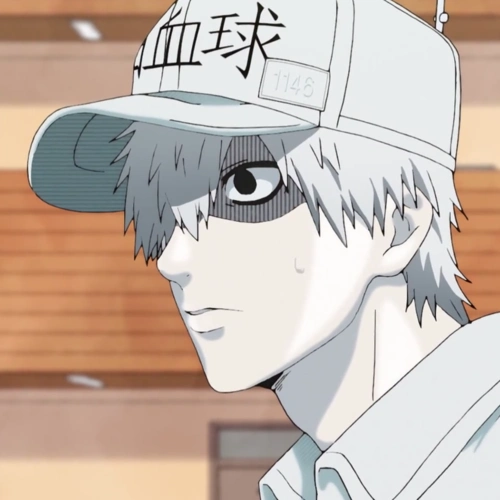 自截工作细胞白血球