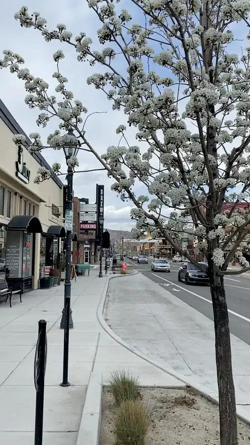 内华达州州府城市卡森市一座花园般漂亮的安静小城市完全不同拉斯维加