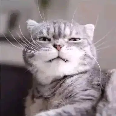 抖音猫图无水印分享大全