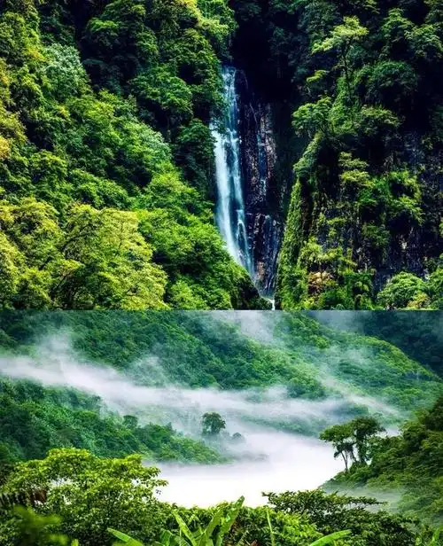 旅游景点推荐:墨脱,又一个被国人发现的旅行圣地 墨脱有什么旅游景点