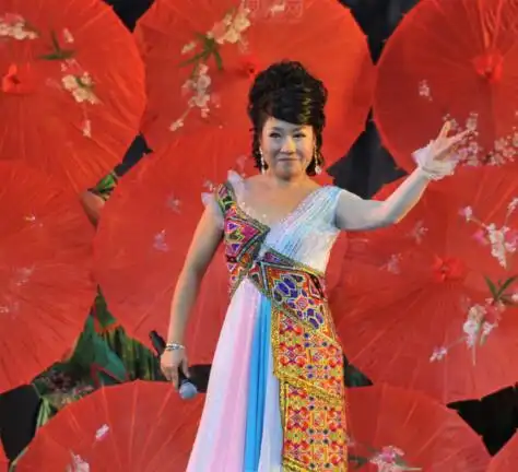 【图】歌手王虹嗓音唯美动听 《血染的风采》其不容错过的代表作