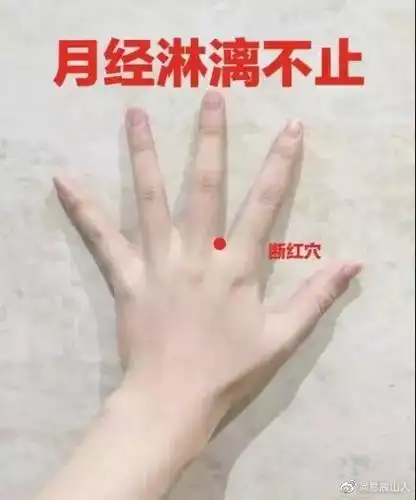 中医养生##陈易玄