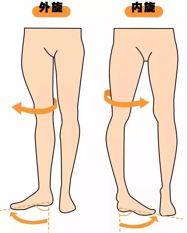 不正常的旋转髋关节长时间就是髋关节的内旋或外旋从解剖学角度why