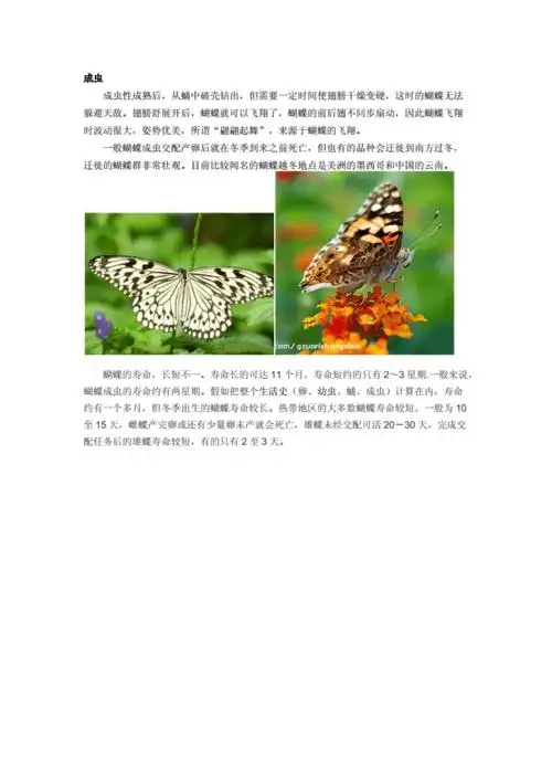 蝴蝶的生命周期.docx 2页