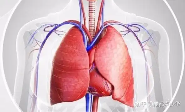 成都御生堂卢少华肺癌和肺腺癌有什么区别