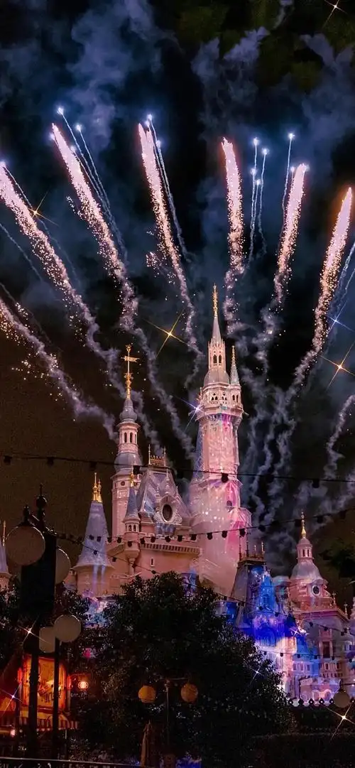 壁纸|烟花壁纸背景图氛围感迪士尼情侣