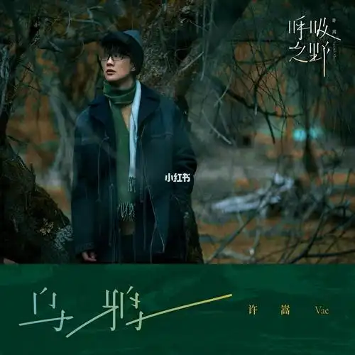 许嵩的《乌鸦》歌词