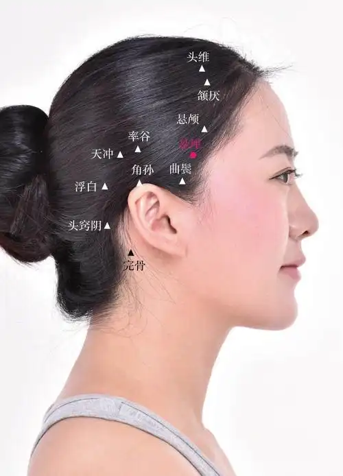 位置        在头部鬓发上,当头维与曲鬓弧形连线的上四分与下四分