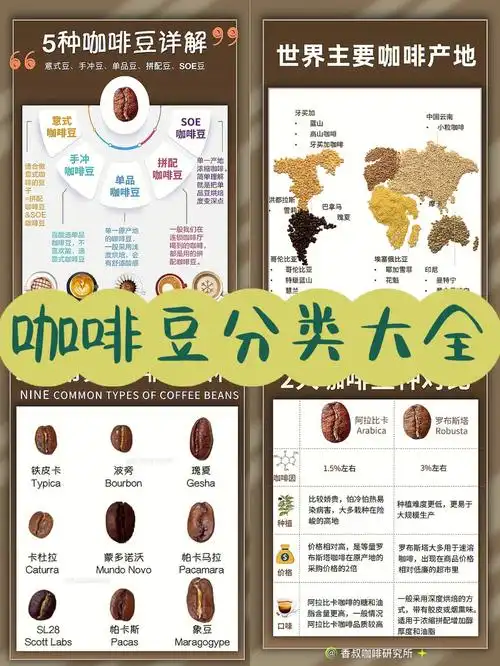 咖啡豆究竟有多少种714张图看懂咖啡种类