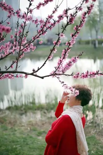赏花 重游桃花潭 写美篇(雨滴打油诗) 去年秋日此园中, 烟雨蒙蒙信步