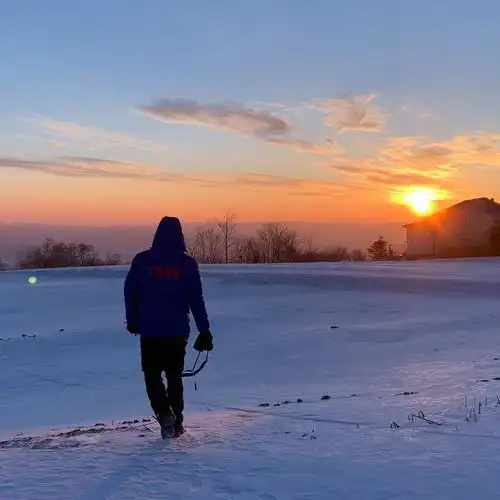 精神小伙经典语录句子