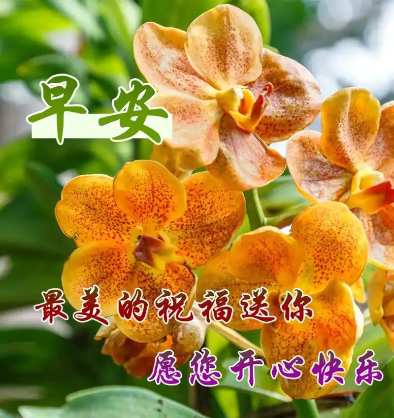 早安问候语每日更新 温馨早安问候,祝愿你一生幸福,健康平安