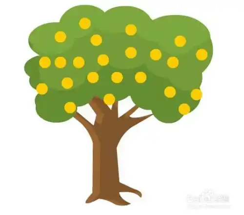 flash画一棵橙子树的方法