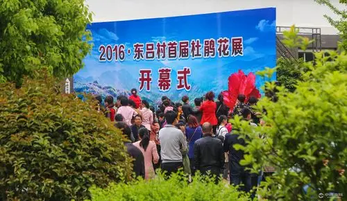 2016-东吕村首届杜鹃花展开幕式掠影