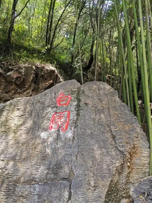 重游洛阳龙门石窟