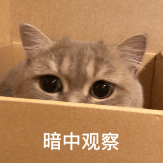 也让大家都意识到,每一个虚拟id后面都是活生生的人(包括橘!