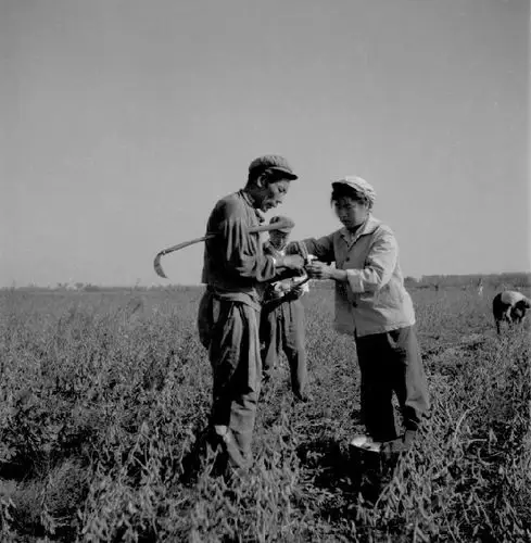 激情岁月:北大荒知青影像集【6】