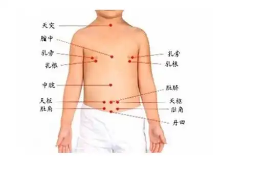 拔罐减肥的位置图