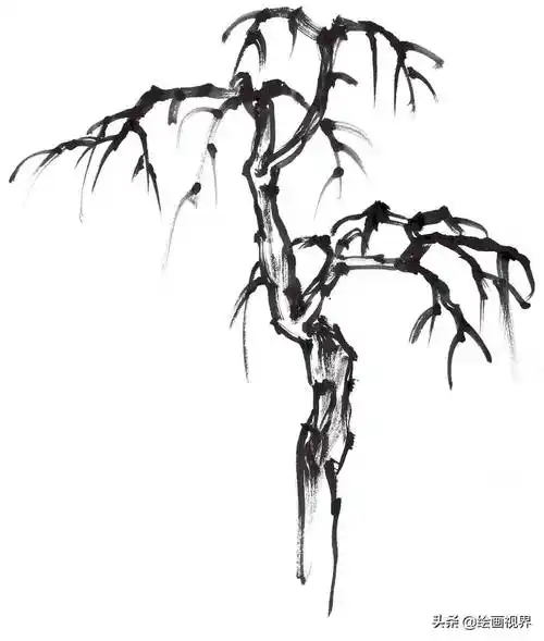 怎么画大树12种树的画法