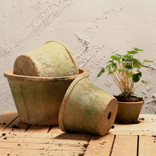 普通盆 黑陶红陶花盆泥瓦盆多肉盆红土盆陶盆粗陶盆阳台透气瓦盆