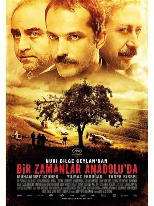 戛纳电影节金棕榈奖电影安纳托尼亚往事