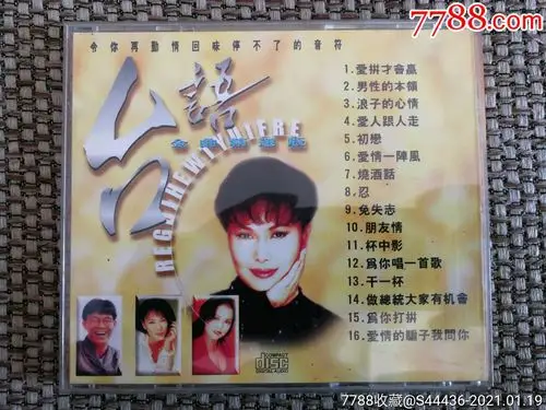 12大美女/海底城泳装歌唱秀(金碟豹)正版cd vcd