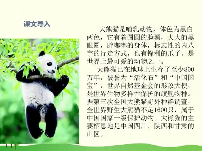 (部编版)习作国宝大熊猫1.pdf 8页