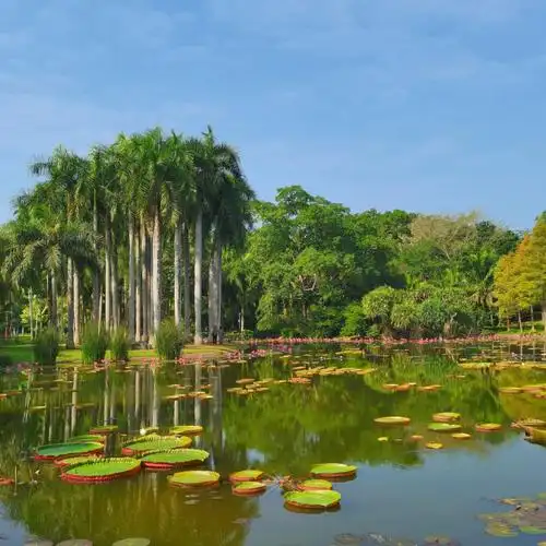 西双版纳中科院植物园旅游攻略