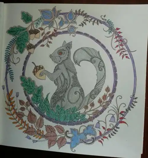 秘密花园2《魔法森林》涂者白京华