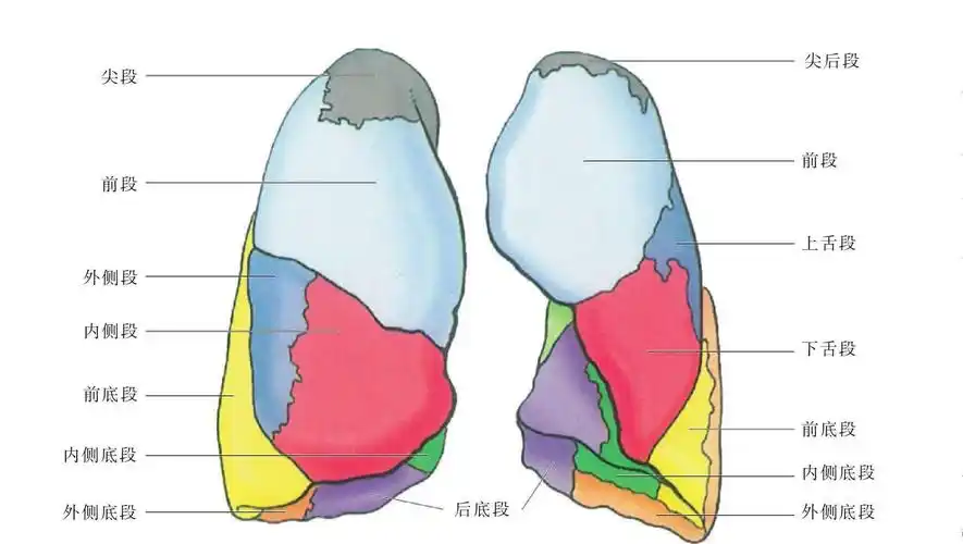 用来治疗肺磨玻璃结节靠谱吗?