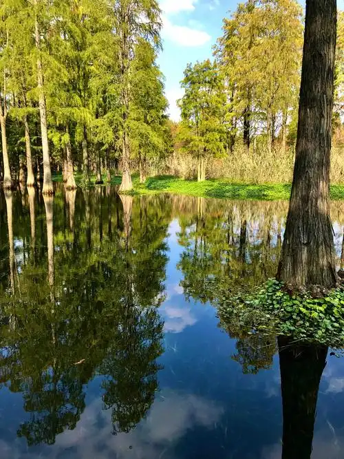 上海水上森林公园