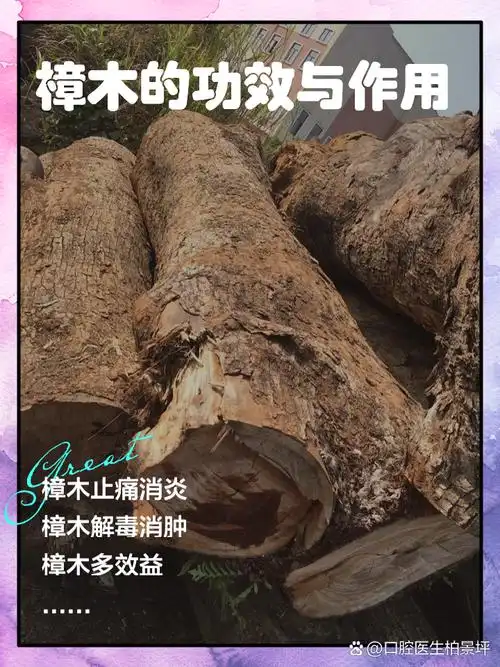 樟木的功效与作用