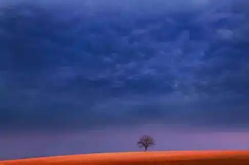 变化式构图的图片,变化式构图图片作业_大山谷图库