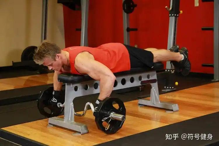 三,中背部肌肉最佳练习动作