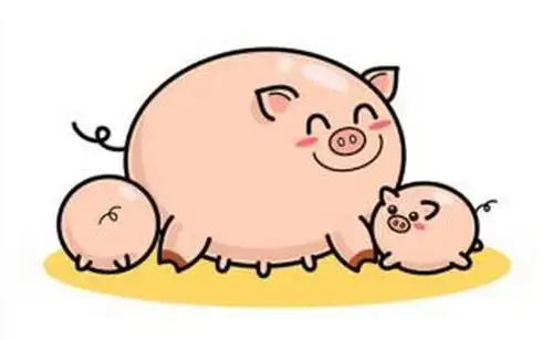 母猪缺钙会引起瘫痪?