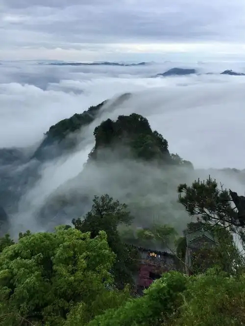 武当山 金顶云海