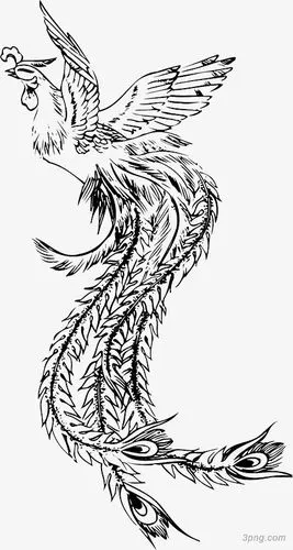 黑色凤凰png素材透明免抠图片动植人物